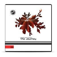 The Journey VR001